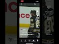 The bear#nhl #boston