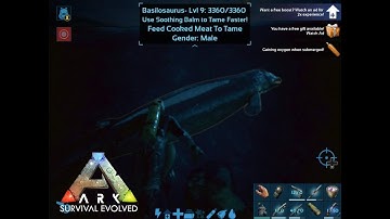 Basilosaurus Solo Tame ARK Mobile