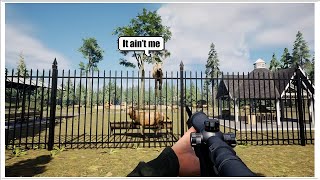 Prop Hunt With Deer is So Trippy…