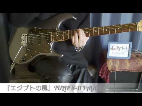 『エジプトの風 -8·11 PAGODA LIVE VERSION-』TULIP / Guitar covered by daiakekai🎸     安部俊幸さん御命日。