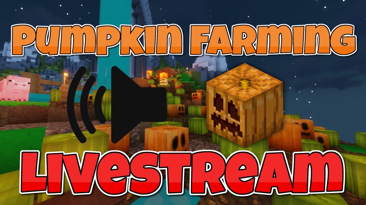 Pumpkin Farming Hypixel Skyblock YouTube