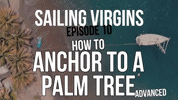 How to Anchor to a Palm Tree (Sailing Virgins) Ep.10
