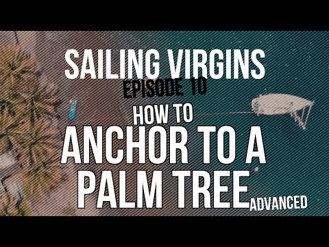 How to Anchor to a Palm Tree (Sailing Virgins) Ep.10