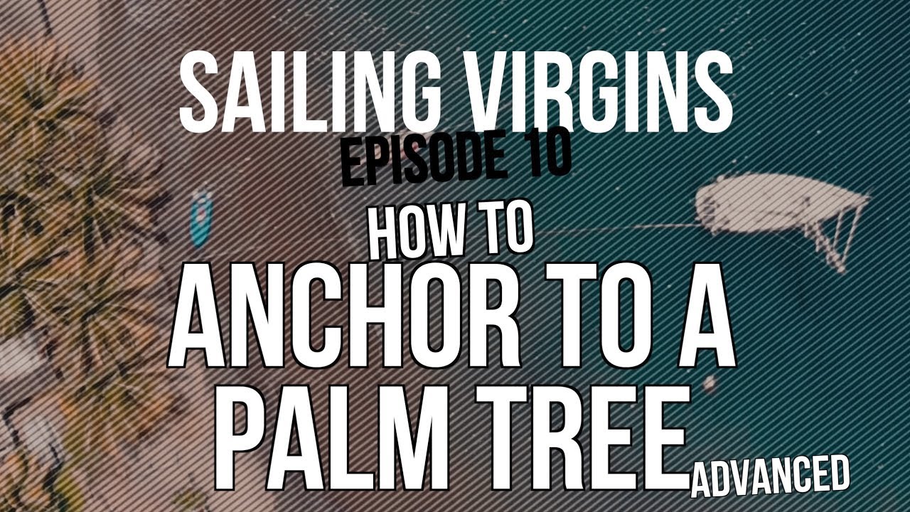 How to Anchor to a Palm Tree (Sailing Virgins) Ep.10 YouTube