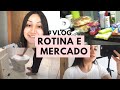 VLOG : ROTINA DE DONA DE CASA E DONA DE LOJA ONLINE, COMPRAS DO MÊS DE SUPERMERCADO | Camila Ester.