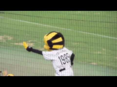 2016.08.28　阪神甲子園球場　「トラッキーのバク転」