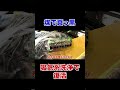 【17万km】煤まみれの吸気系、洗浄でエンジンは変わるのか?【三菱パジェロ】