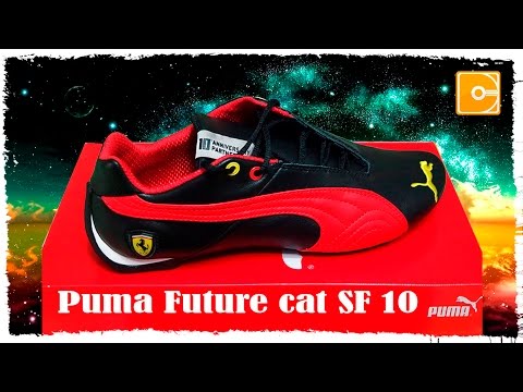 puma future cat 10 years