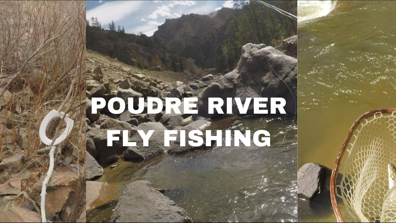 Toilet Seats and Swirling Water up the Cache La Poudre