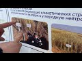 1979dan bir yerga uzluksiz ekilgan bug‘doy ishlov berilmasdan ekilganda tuproq unumdorlogi oshgan