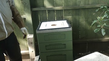 Introducing new queen into hive part 1