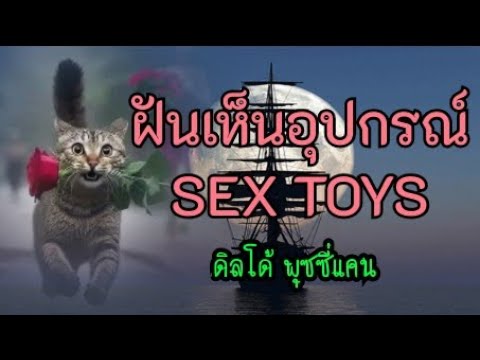 ฝันเห็นอุปกรณ์เซ็กส์ทอย SEX TOYS Dido Puzzy Can