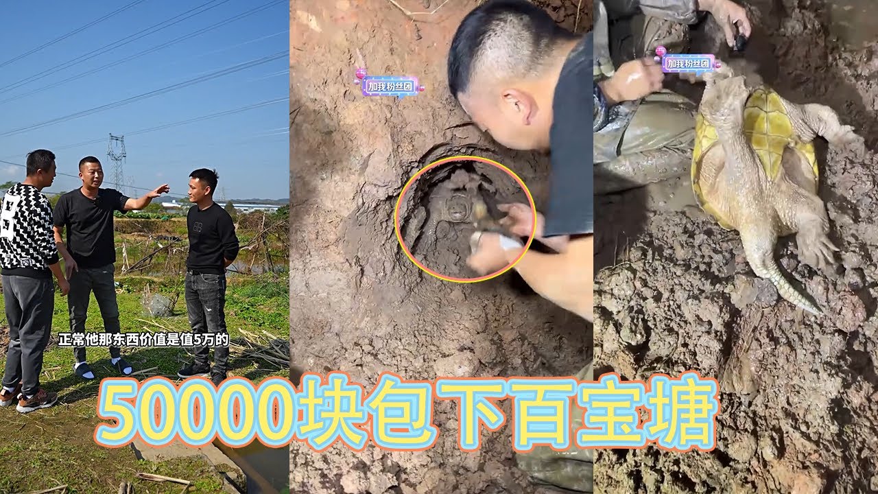 50000块包下百宝塘，塘主保证有大货，到底是真是假？ 【在养殖场安全，请大家不要模仿】