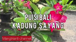 PUISI BALI KARANGAN SENDIRI