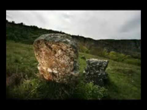 Георги Гоцев Прошки VBOX7 Mpeg4