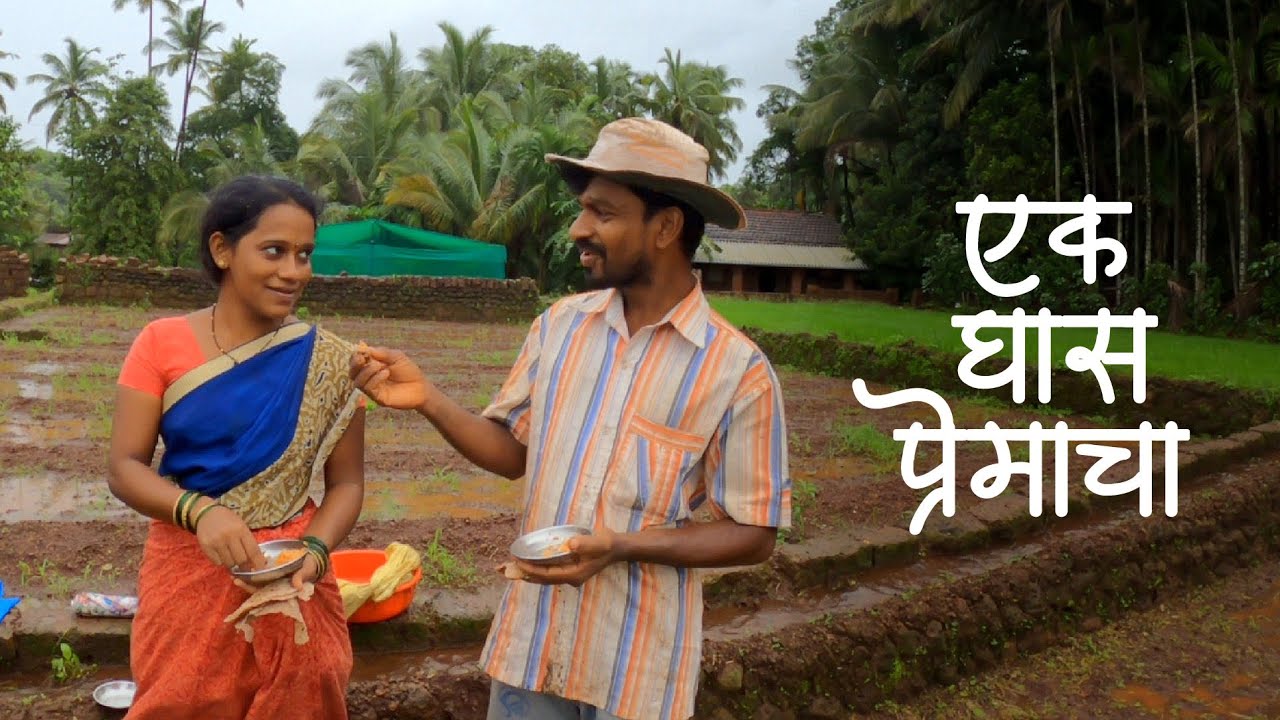 पुनग्याक भावोजींनी भरवल्यांनी प्रेमचो घास । कोंकणातील भात लावणीची मजा | नारिंग्रे, देवगड