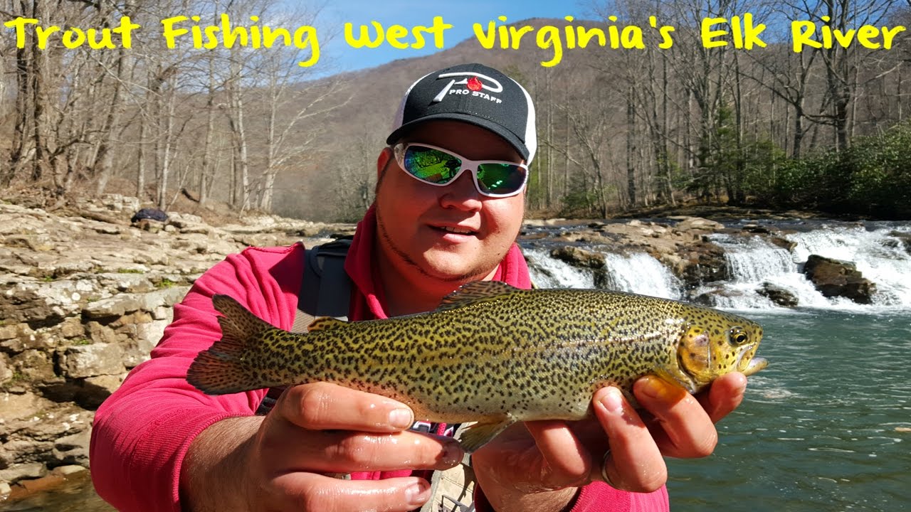 trout fishing trips wv
