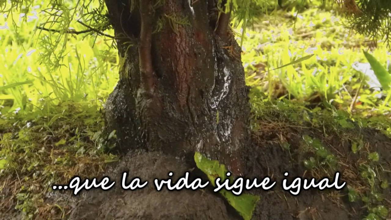 Cómo - Victoria Bernardi