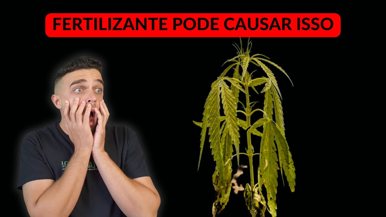 Muito fertilizante pode causar isso