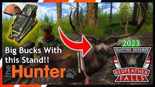 Beginner Guide: Blacktail Deer | theHunter Classic