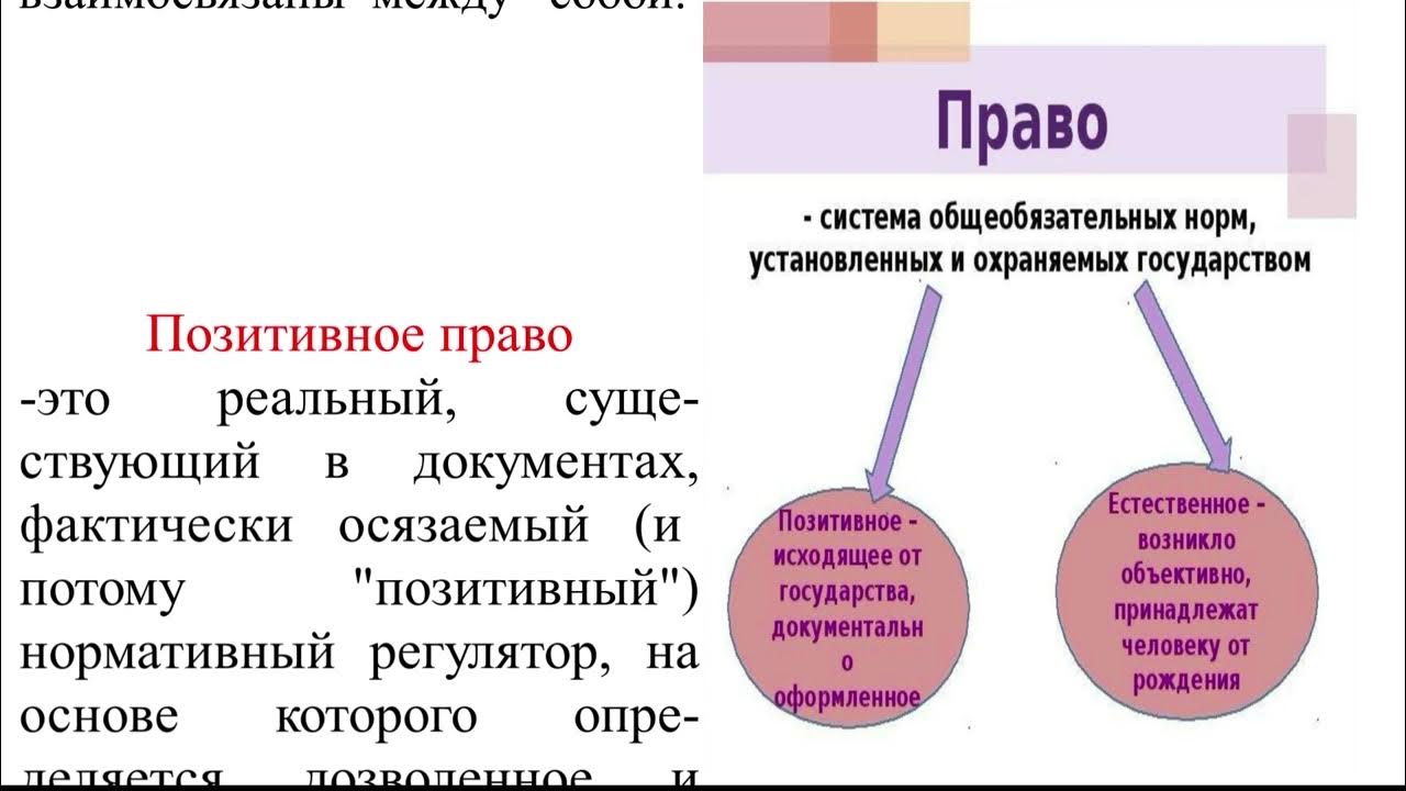 Позитивное право и естественное право различия