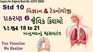 Std 10 // વિજ્ઞાન & ટેકનોલોજી //માનવમાં શ્વસનતંત્ર // પ્રકરણ 6 - જૈવિક ક્રિયાઓ/ પ્રશ્ન નં. 18 to 21