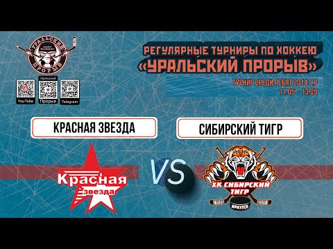 10.05.2024 2014 г.р. Красная Звезда  Краснокамск  -  Сибирский Тигр  Иркутск