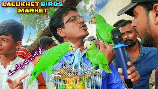 Lalukhet Exotic Parrots and Rare Birds Market Karachi 17-5-2026 Latest Update in Urdu | سوق الطيور