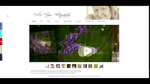 Debra Flynn Photography Home Page
