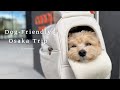 マルプーと夫婦の大阪旅｜室内OKごはん屋さんとカフェ｜犬連れホテルステイ｜グラングリーン大阪｜梅田・堀江・中之島
