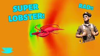 Is a Supersonic Lobster Aerodynamic?