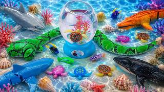 [🐟Toy asmr🐠] Baby Shark &amp; Zuru Robo Fish &amp; Aquarium Playset &amp; RC Shark ASMR Satisfying with Unboxing