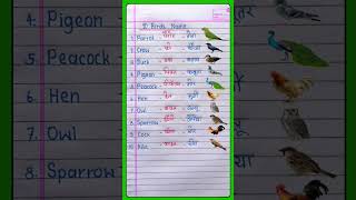 10birds name English Hindi me kaise likhe