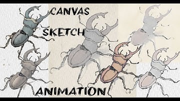 LiveHTML |Advanced HTML Canvas Drawing and Animation Web App