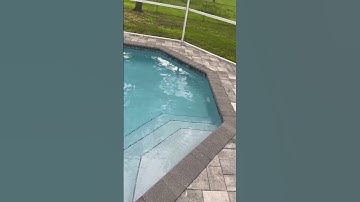 🦠Algae Pool COMPLETE!🐥💦 #onlypools #poolcleaning #algae #algaekiller