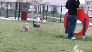 Minniefriends020310.Mov