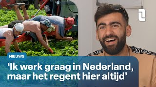 De keerzijde van arbeidsmigratie in Limburg | L1 Nieuws