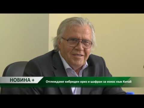 Видео: Ръководство за грижа за шафран: Научете за изискванията за отглеждане на шафранови растения