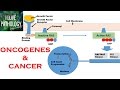 HALLMARKS OF CANCER 1: Protooncogenes, Oncogenes & Oncoproteins