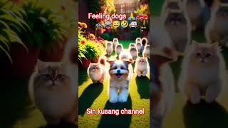 #animals #zoo #dog #shorts #sinkusang #music #short #subscribe #sonyaart22