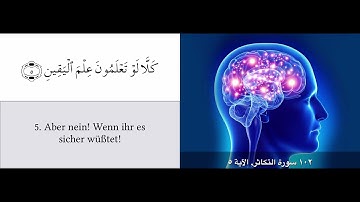 القران سورة التكاثر مترجمة الماني