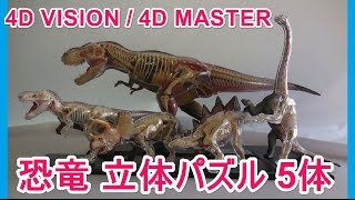 4D VISION,4D MASTER,恐竜 5体,立体パズル,puzzle