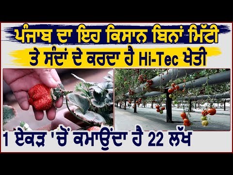 Punjab का यह किसान बिना मिट्टी के करता है Hi-Tec खेती, 1 एकड़ से करता है 22 लाख की कमाई