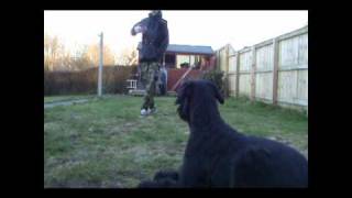 Training March 2011.wmv