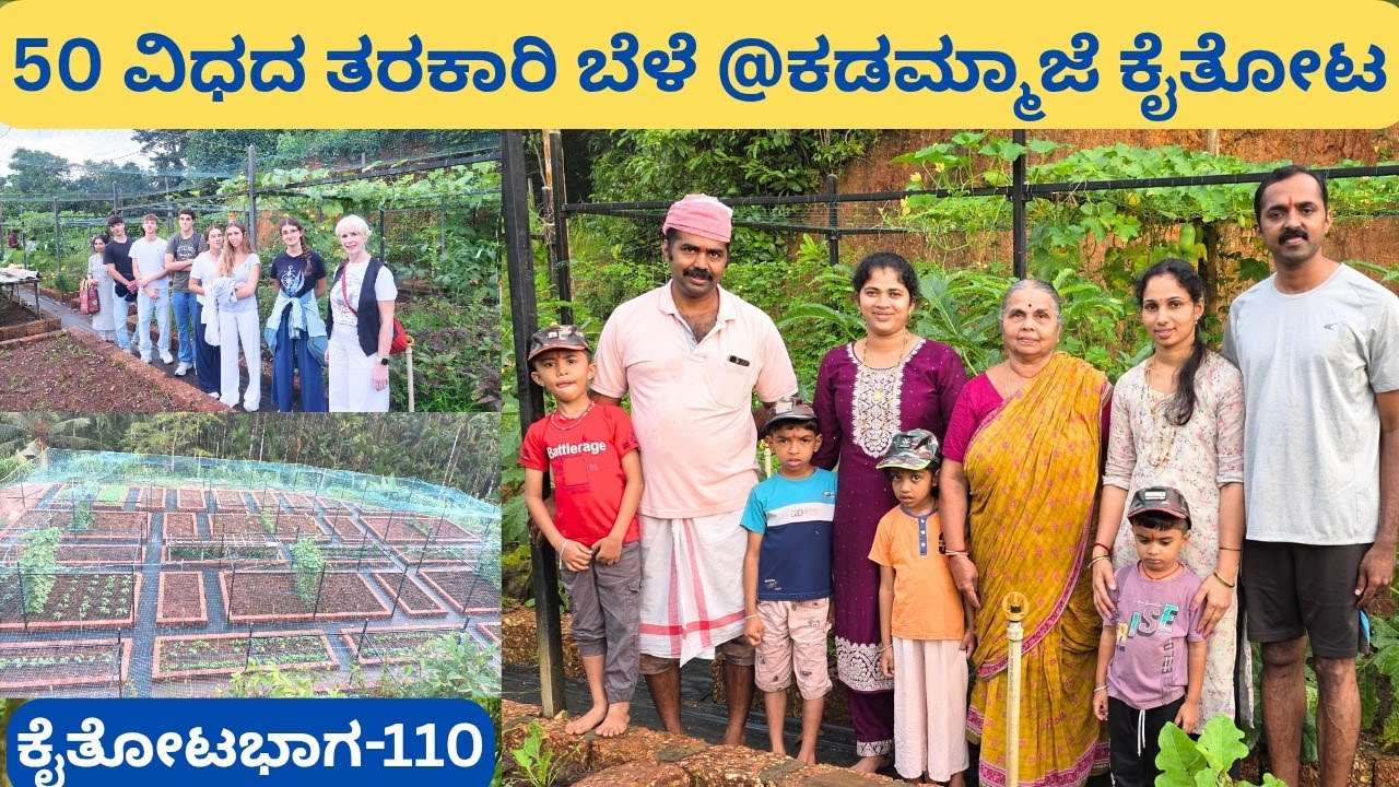 ಈ ಕೃಷಿ ನೋಡಲು ಇಟಲಿಯ ವಿದ್ಯಾರ್ಥಿಗಳು ಬಂದಿದ್ದಾರೆ‼️ ಇಡೀ ಕುಟುಂಬ ಒಟ್ಟುಸೇರಿ ಕೆಲಸ ಮಾಡುವ ಸುಂದರ ಕೈತೋಟ @ಕಡಮ್ಮಾಜೆ