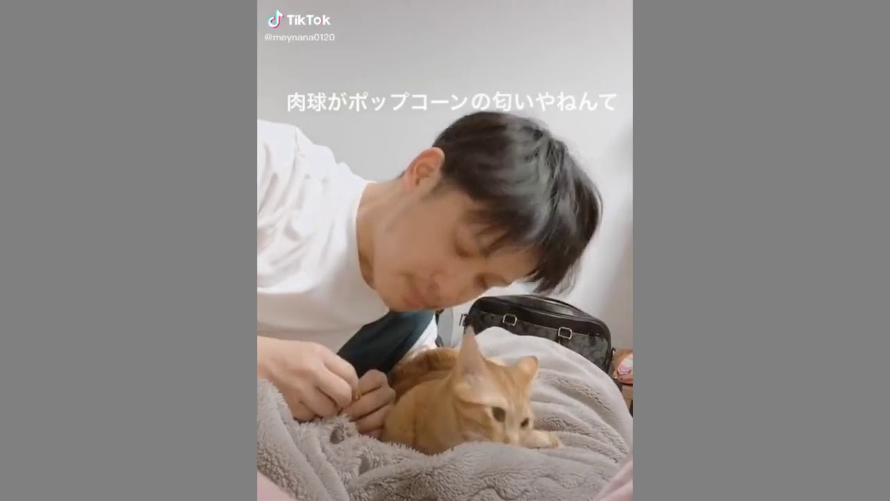 猫の肉球ってポップコーンの匂いする 猫がいる暮らし Youtube