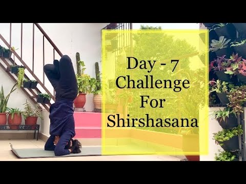 Day-7 , Challenge for Shirshasana, padamasana in Shirshasana and bending backwards!