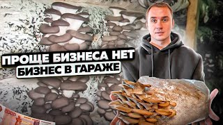 Как выращивать грибы вешенки. Бизнес на грибах. Бизнес в гараже