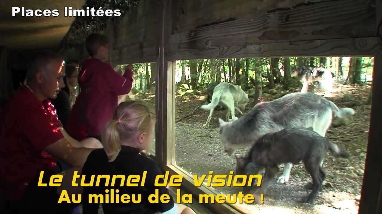 La Maison des Loups - Les options La Maison des Loups - Les options