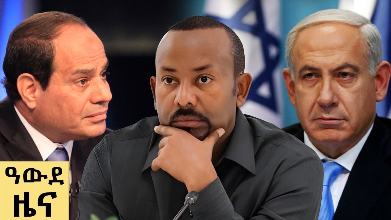 የ ምሽት የአማርኛ ዜና ሕዳር 24-2018 ዓም - Abbay News - Ethiopia